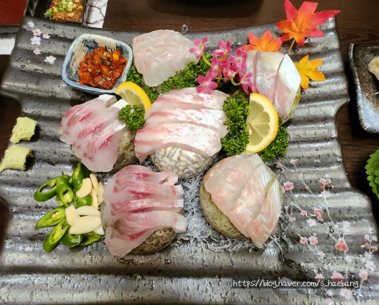  대구 수성구 싱싱해싱싱어 가성비 최고의 고급활어회 횟집 연말 모임장소 추천
