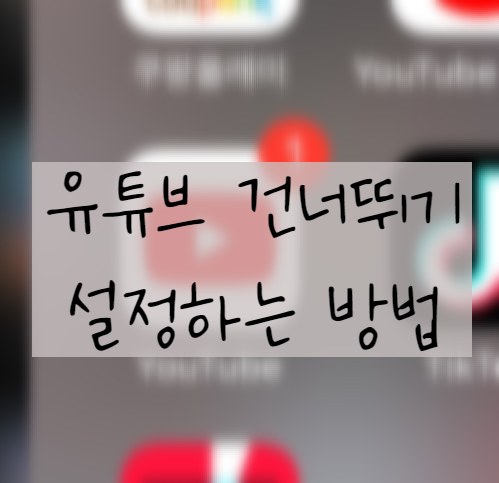  유튜브 10초 건너뛰기 시간 바꾸는 방법