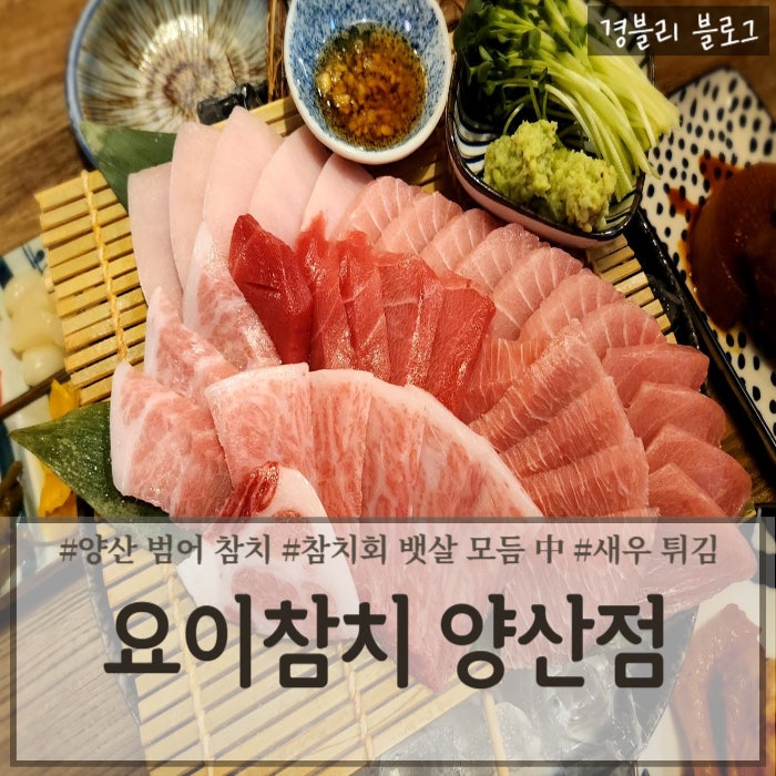  양산 범어 30시간의 저온 숙성 참치 맛집 '요이참치 양산점'