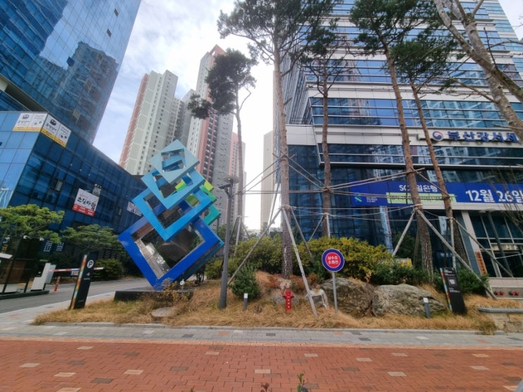 [명지] 사업자등록증 변경(주소) - 부산강서세무서
