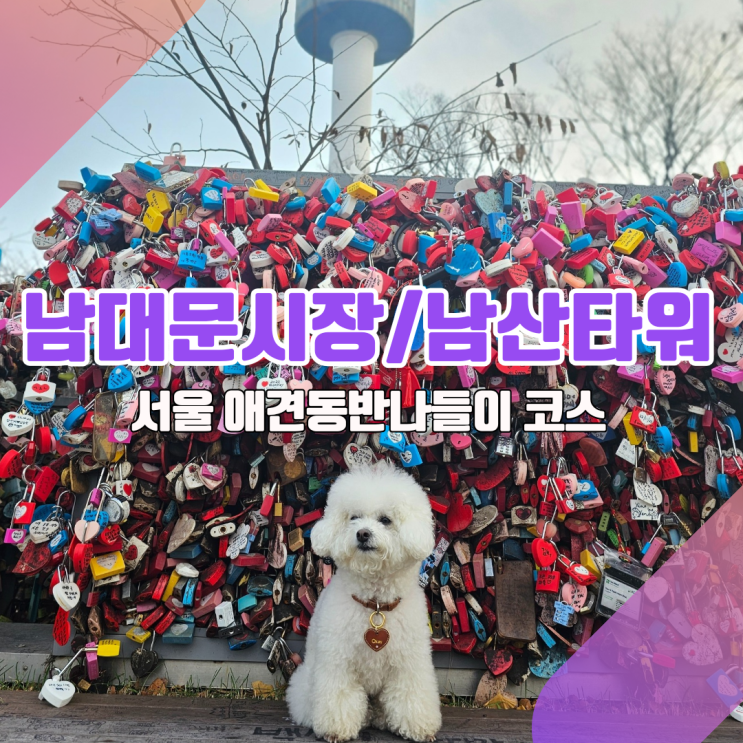  [남대문시장 애견동반나들이] 시장투어에서 남산타워까지 애견산책코스 총정리