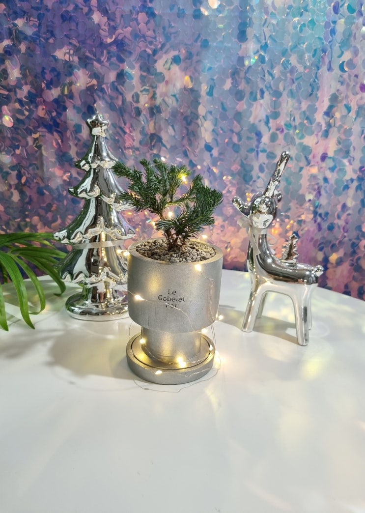  홈데코 크리스마스 장식으로 좋은 HYM 블루버드 실버 미니 화분 Le Noël Pot SET