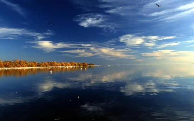 남부 캘리포니아 거대 호수 밑에서 발견된 5400억 달러 규모의 리튬 매장지가 발견되다!