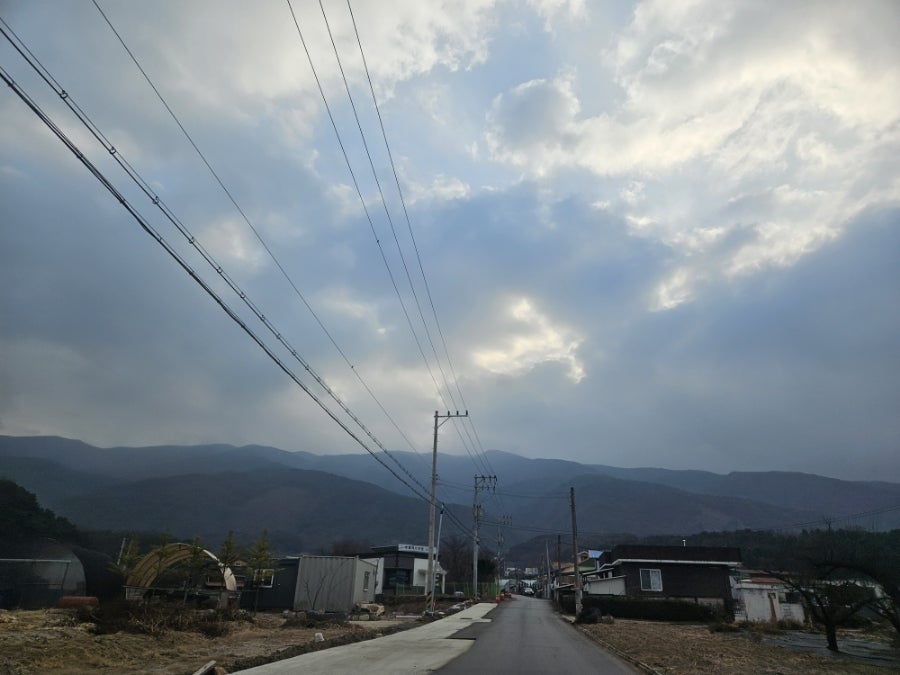 대룡산약초백숙 사진 2