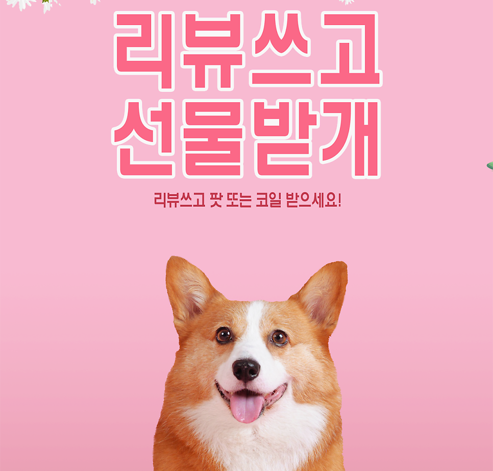 스위티 사진 5