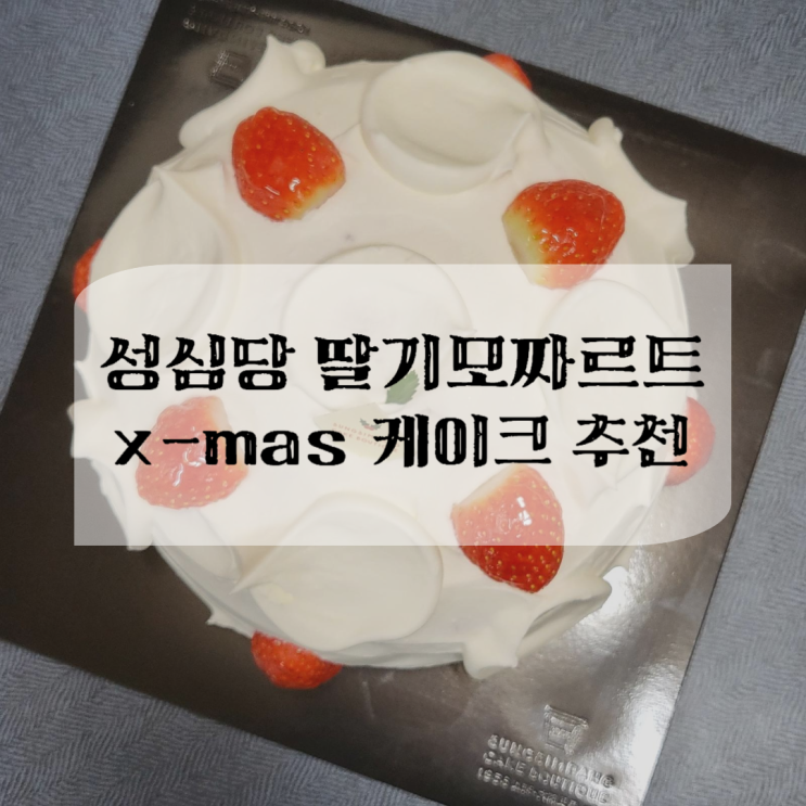 성심당 딸기모짜르트 2호 크리스마스 케이크 예약 실패하고 미리 먹어 본 후기 성심당 딸기모짜르트 2호 크리스마스 케이크 예약 실패하고 미리 먹어 본 후기