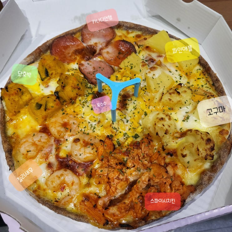 [수원 맛집]영통 피자 건강한 토핑이 가득한 피자알볼로
