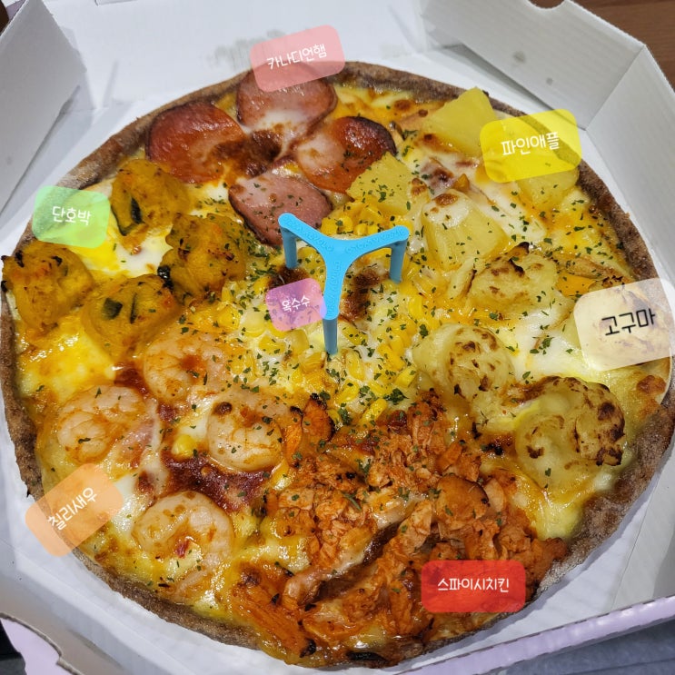  [수원 맛집]영통 피자 건강한 토핑이 가득한 피자알볼로