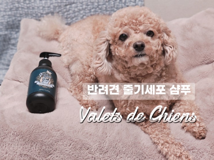  강아지 피부 보습 천연 샴푸, 국개대표 발레드샹 솔직후기