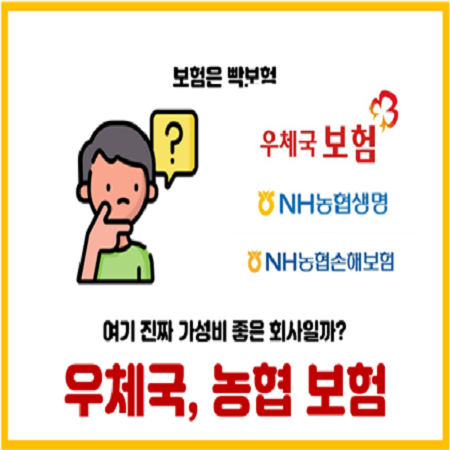  농협보험과 우체국 보험으로 가입하면 유리할까?