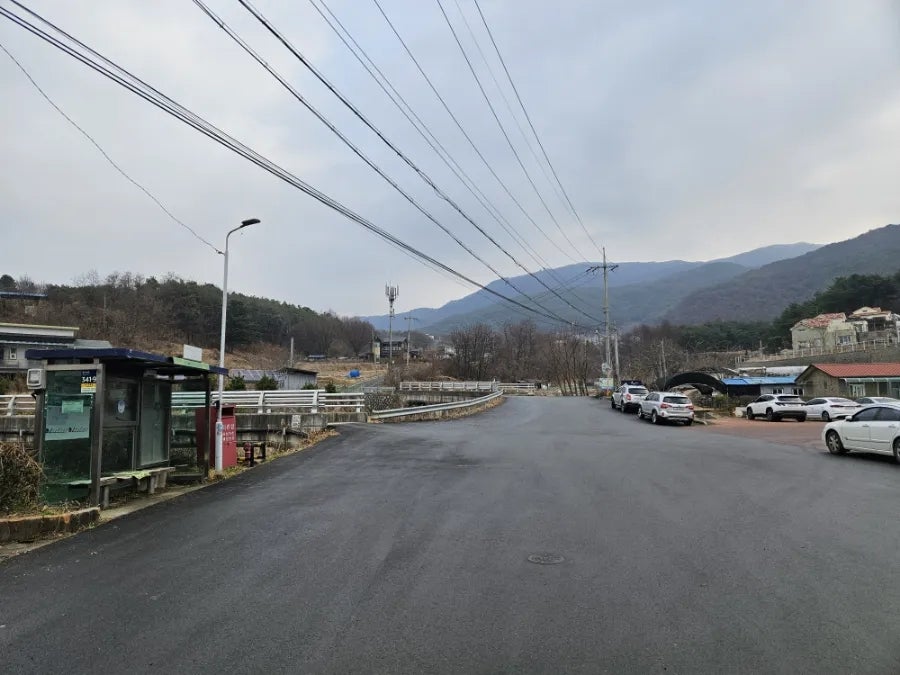 대룡산약초백숙 사진 5