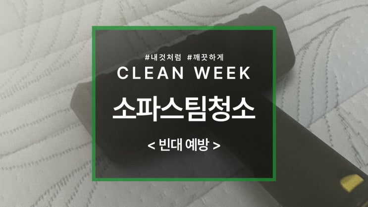  소파 그리고 매트리스 고온 살균 스팀 청소