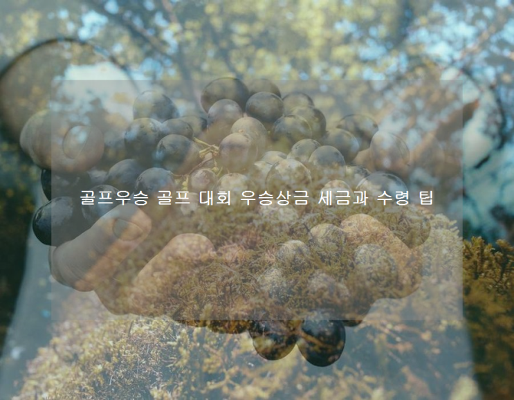 골프<b>우승 골프</b> 대회 우승상금 세금과 수령 팁