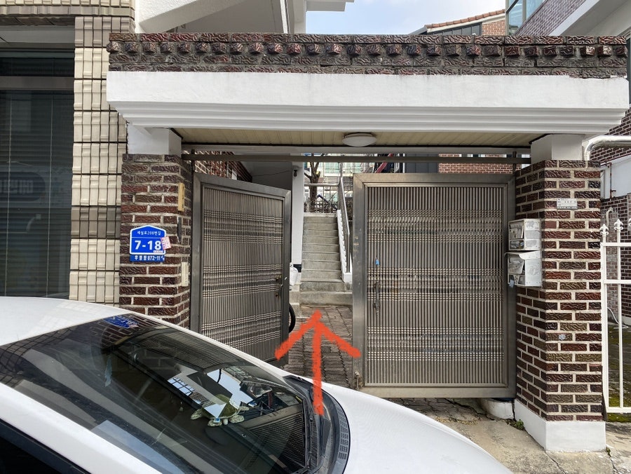 살루드 사진 2