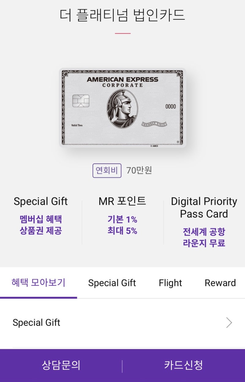 아메리칸 익스프레스 플래티넘 법인카드 : 호텔멤버십 / 라운지 무료 롯데카드 추천 : 네이버 블로그