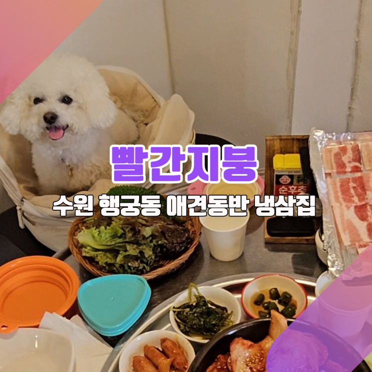  [수원 행리단길 애견동반식당_빨간지붕] 냉삼은 얇다고? 웃기는 소리!