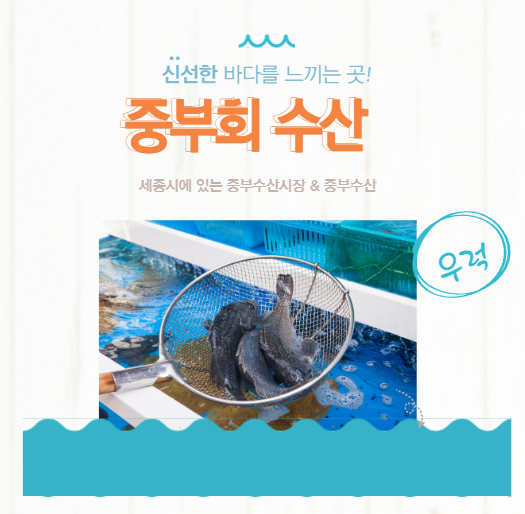  중부수산 시장 세종 추천 횟집 새조개 방어 우럭 킹크랩 종촌동 메가시티 지하