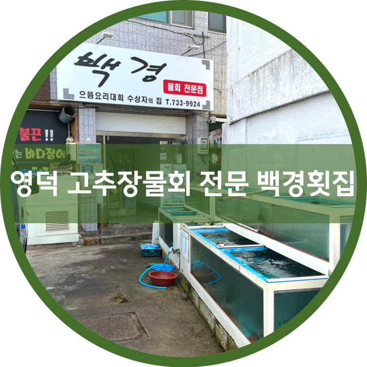  경북 영덕, 물회 전문 백경 횟집에서 항아리 물회 먹고 왔어요.