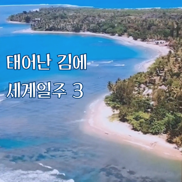  태계일주 3 팝업 캠프 다녀온 후기
