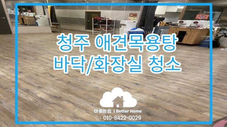  [바닥청소] 청주 애견 목욕탕 바닥청소