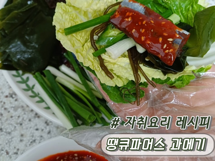포항 구룡포 햇과메기 땡큐파머스 먹방후기