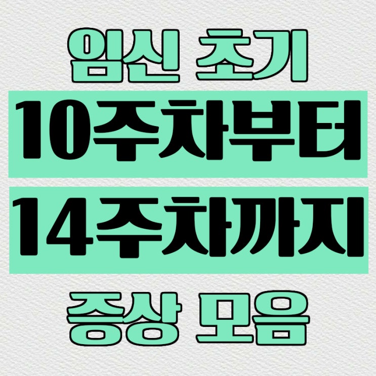  임신초기 10주, 11주, 12주, 13주, 14주차 증상, 입덧끝, 출혈, 안정기