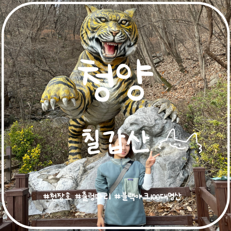 블랙야크100대명산 칠갑산 등산코스 천장호 출렁다리 블랙야크100대명산 칠갑산 등산코스 천장호 출렁다리