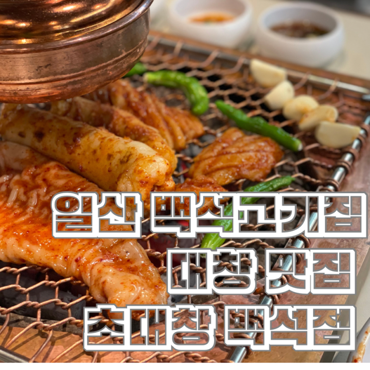  일산 백석역 고기집 맛집 대창 숯불구이 초대창 백석점