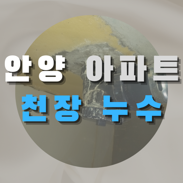  안양 꿈의그린 아파트 천장 누수