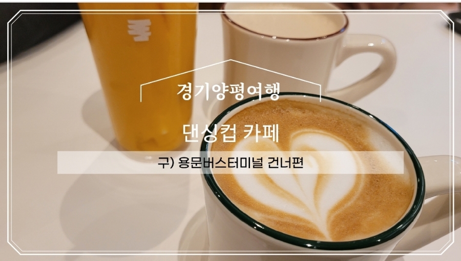 댄싱컵 양평용문점
