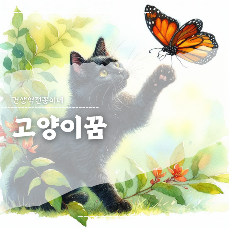  고양이꿈 해몽 새끼고양이 꿈 검은고양이 꿈 의미