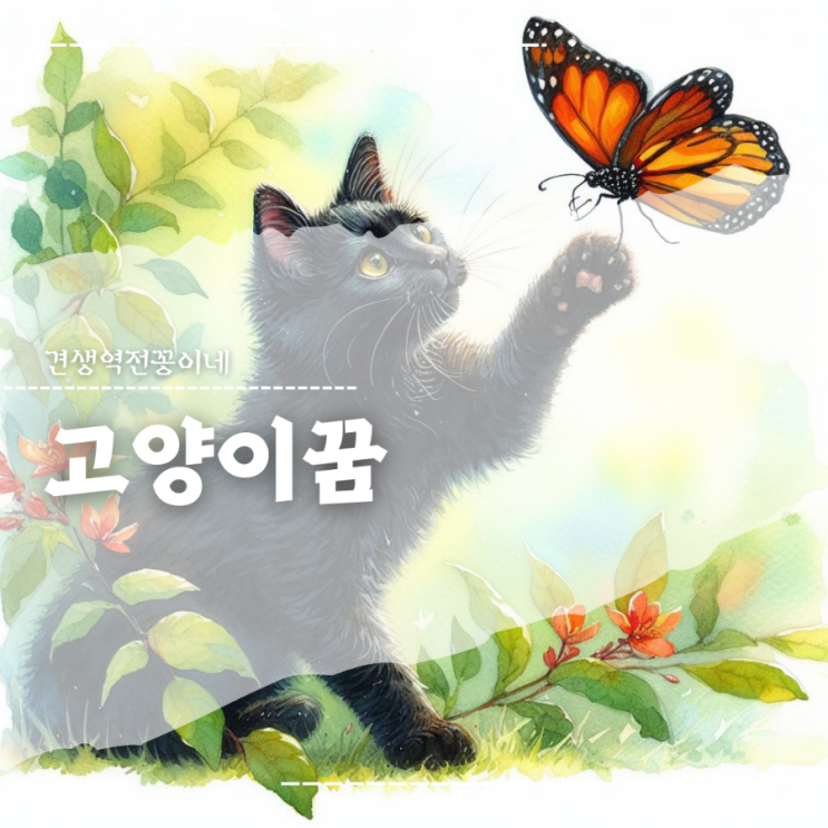 고양이꿈 해몽 새끼고양이 꿈 검은고양이 꿈 의미