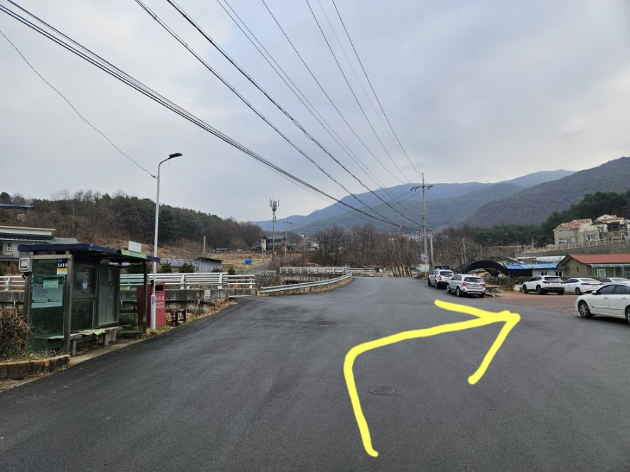 대룡산약초백숙 사진 6