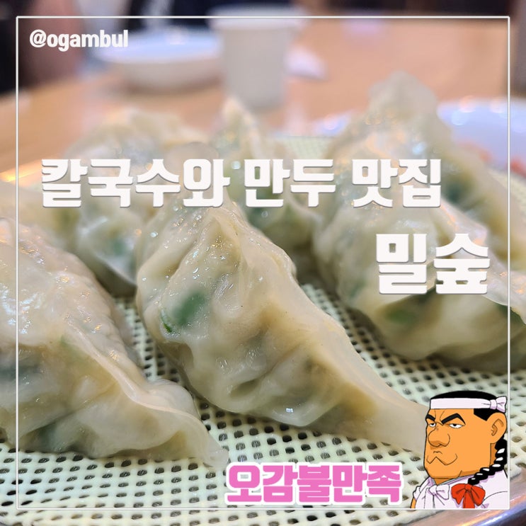  문정역 밀숲 칼국수와 만두가 저렴한 맛집에서 점심