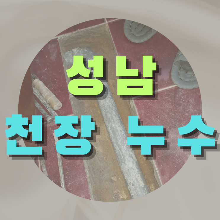  성남 천장누수 - 세탁실과 옥상 누수?!