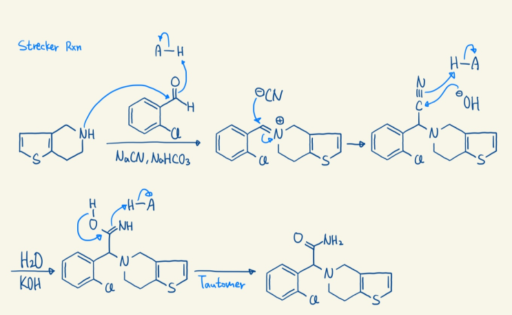 Strecker amino acid synthesis
