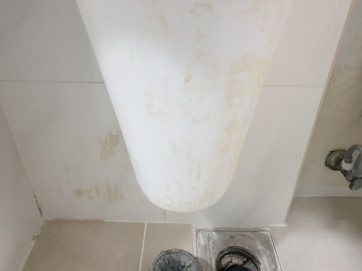  당리부영벽산블루밍 마루공사 분진과 욕실 오염 깔끔한 입주청소