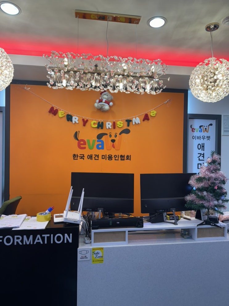  애견미용학원 국비지원 vs 장학제도, 어떤 과정이 나에게 맞을까? 장.단점, 수강비용.기간