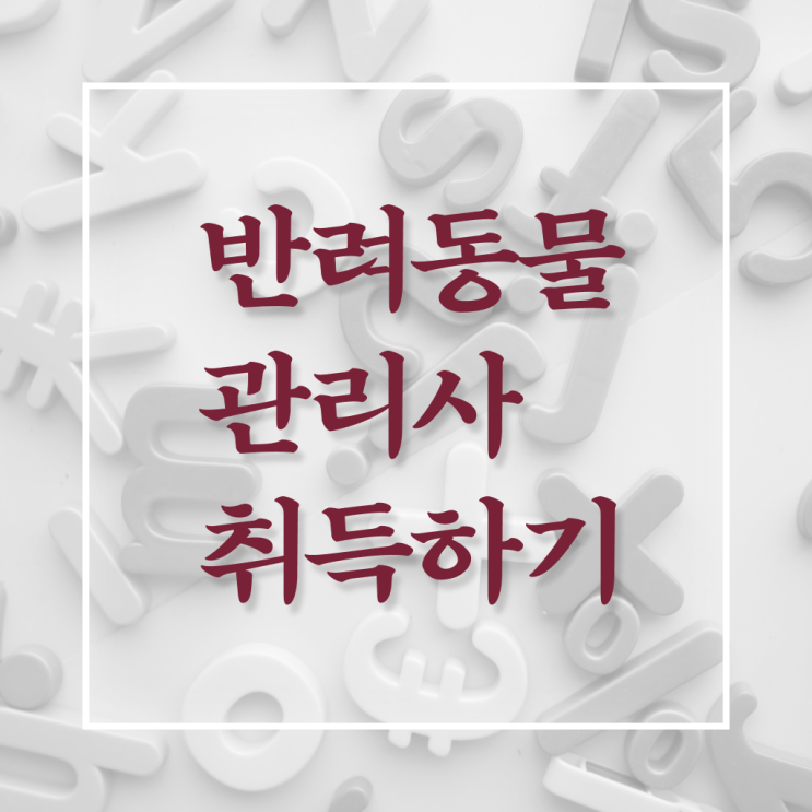  반려동물관리사 연봉 전망 이것만 보세요 ?!