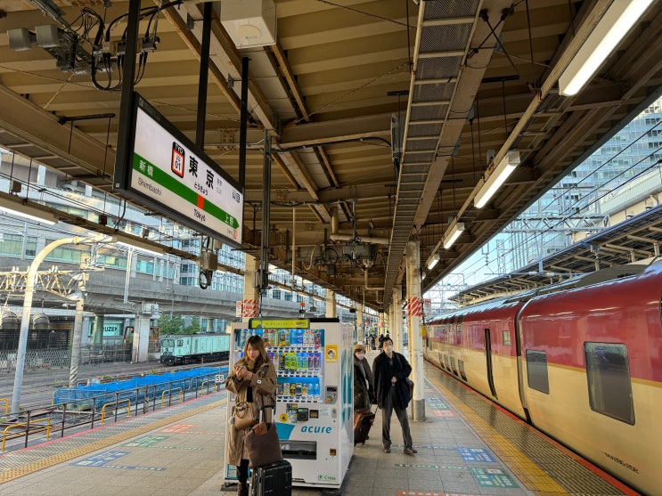 [그린샤 타고 일본전국일주!] #24 야간열차 타고 도쿄 도착! 도쿄에서 뭘 하지?