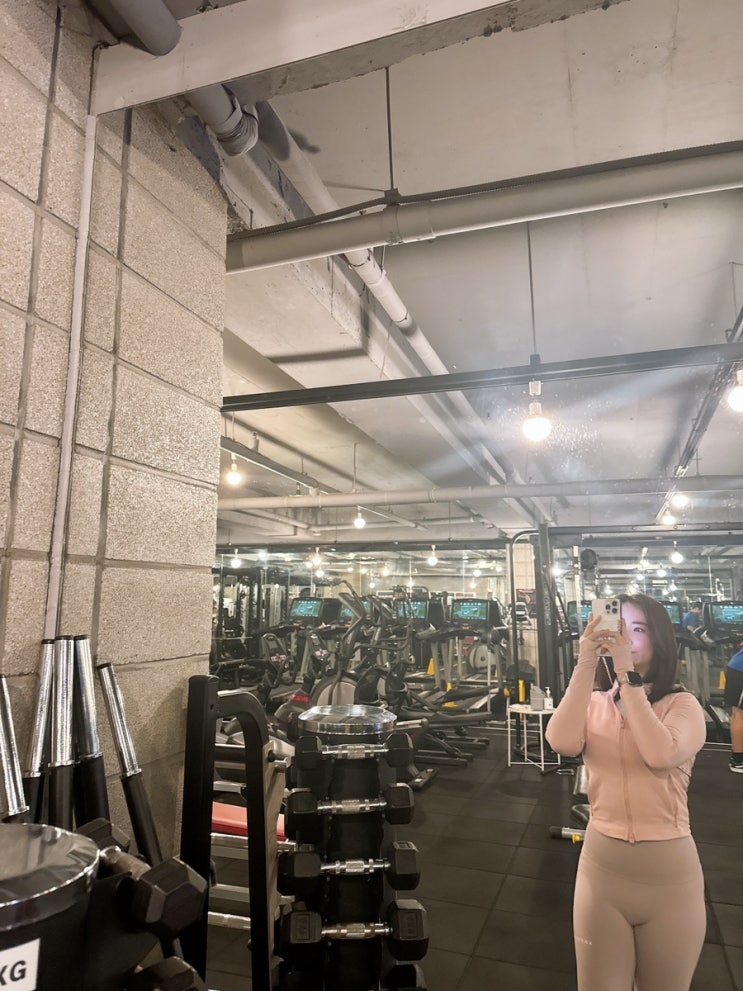  PT 50회 도전, 그리고 그 후기: 나의 운동일지 속으로
