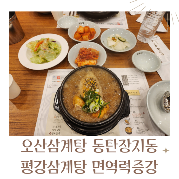  오산삼계탕 동탄장지동맛집 평강삼계탕으로 몸보신