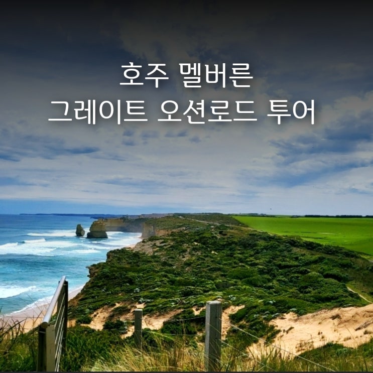 호주 멜버른 시드니  | 땡스 투어 1위 그레이트 오션로드!