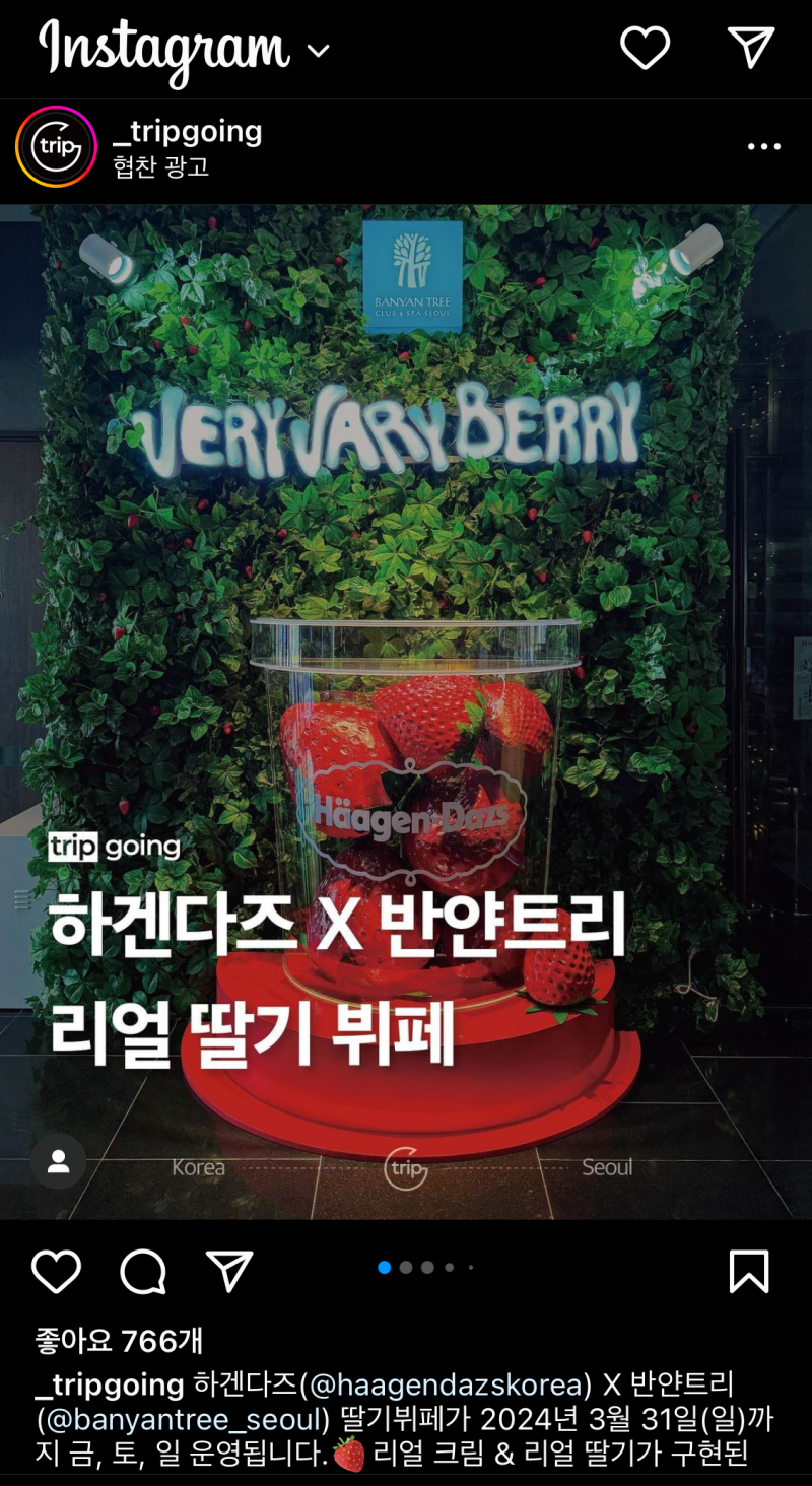 일 반 놀기 반 - 12월 둘째주 일상 : 네이버 블로그