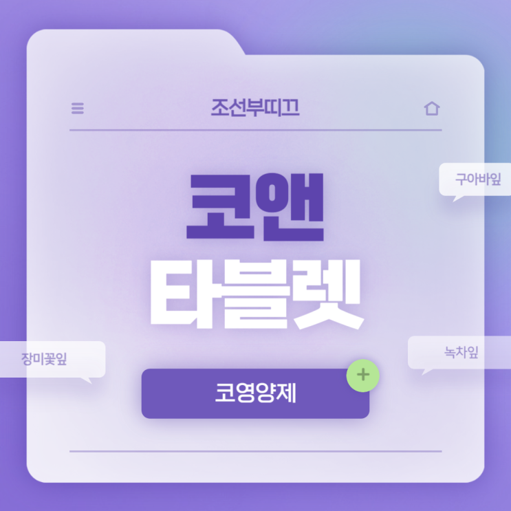  코 건강기능식품 : 조선부띠끄 코앤타블렛 특징 및 섭취방법 【#벤두381 #코건강 #코영양제 #알레르기 #알러지】