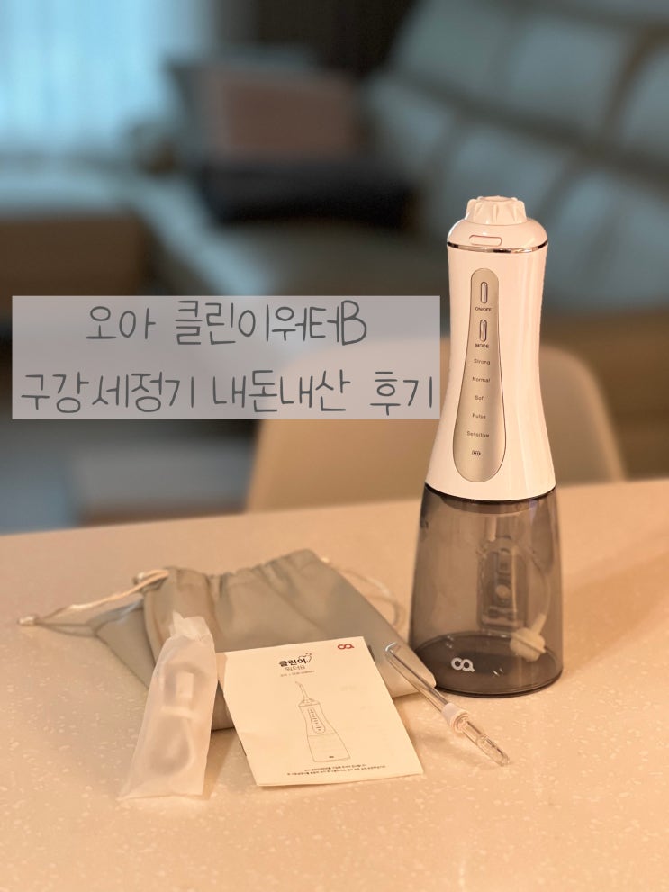  오아 클린이워터B 워터픽- 2년 넘게 사용한 찐 후기-내돈내산