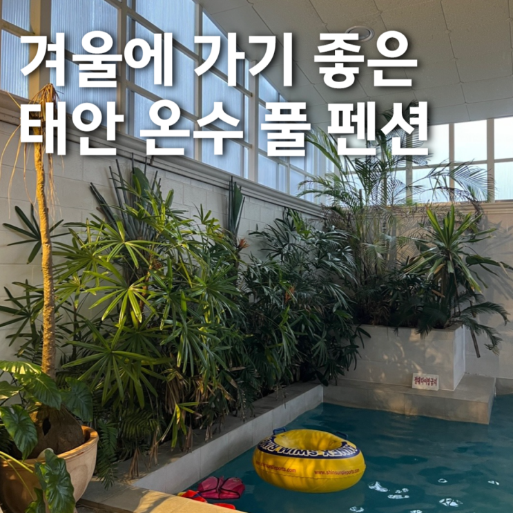  겨울에 가기 좋은 태안 온수풀 펜션 '지중해아침'