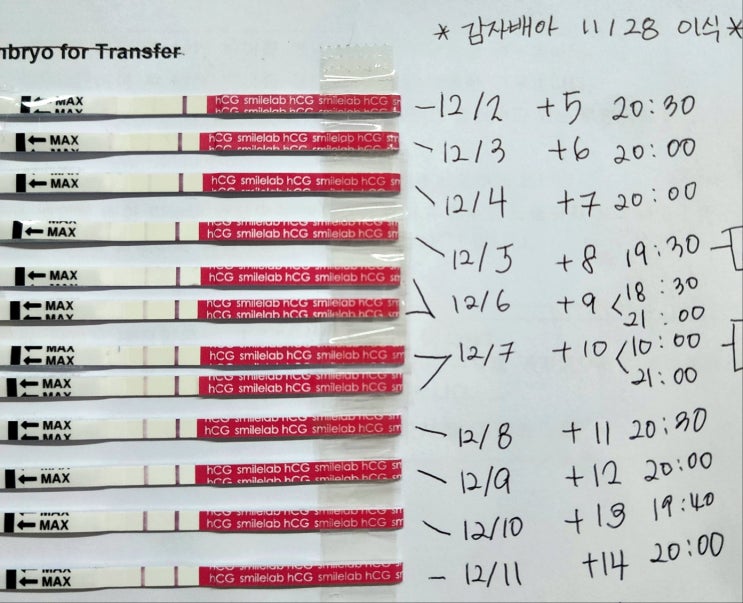  난임일기22. 감자배아 11일~14일차 증상, 이식 후 프로게스테론 수치 감소