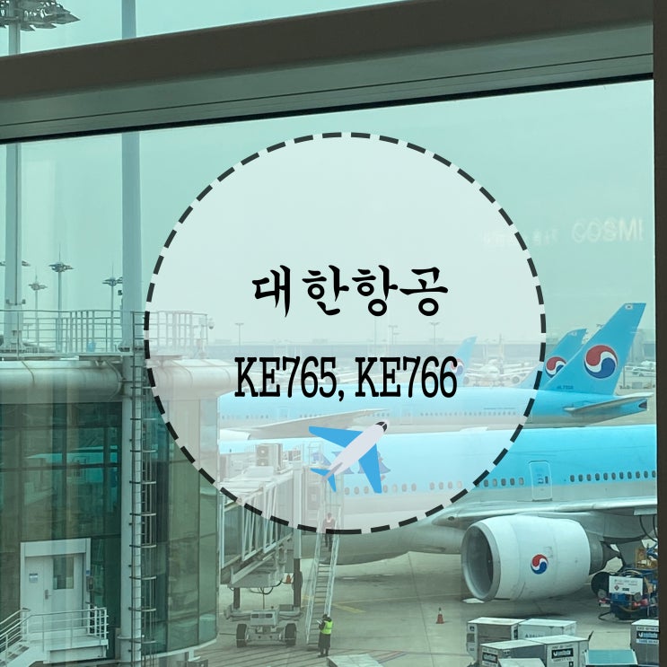  12월 삿포로여행ㅣ인천에서 신치토세공항 KE765, KE766 기내식 및 탑승후기