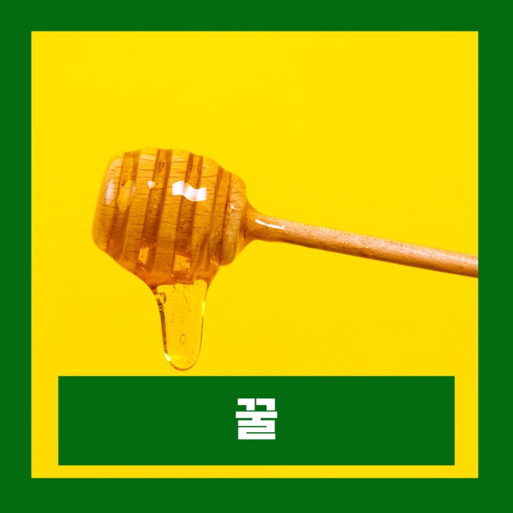  아침 공복에 꿀물 타는법 숙취해소 효능 칼로리 주의사항